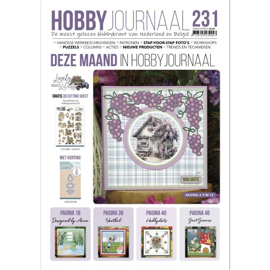 Hobbyjournaal 231 HJ231